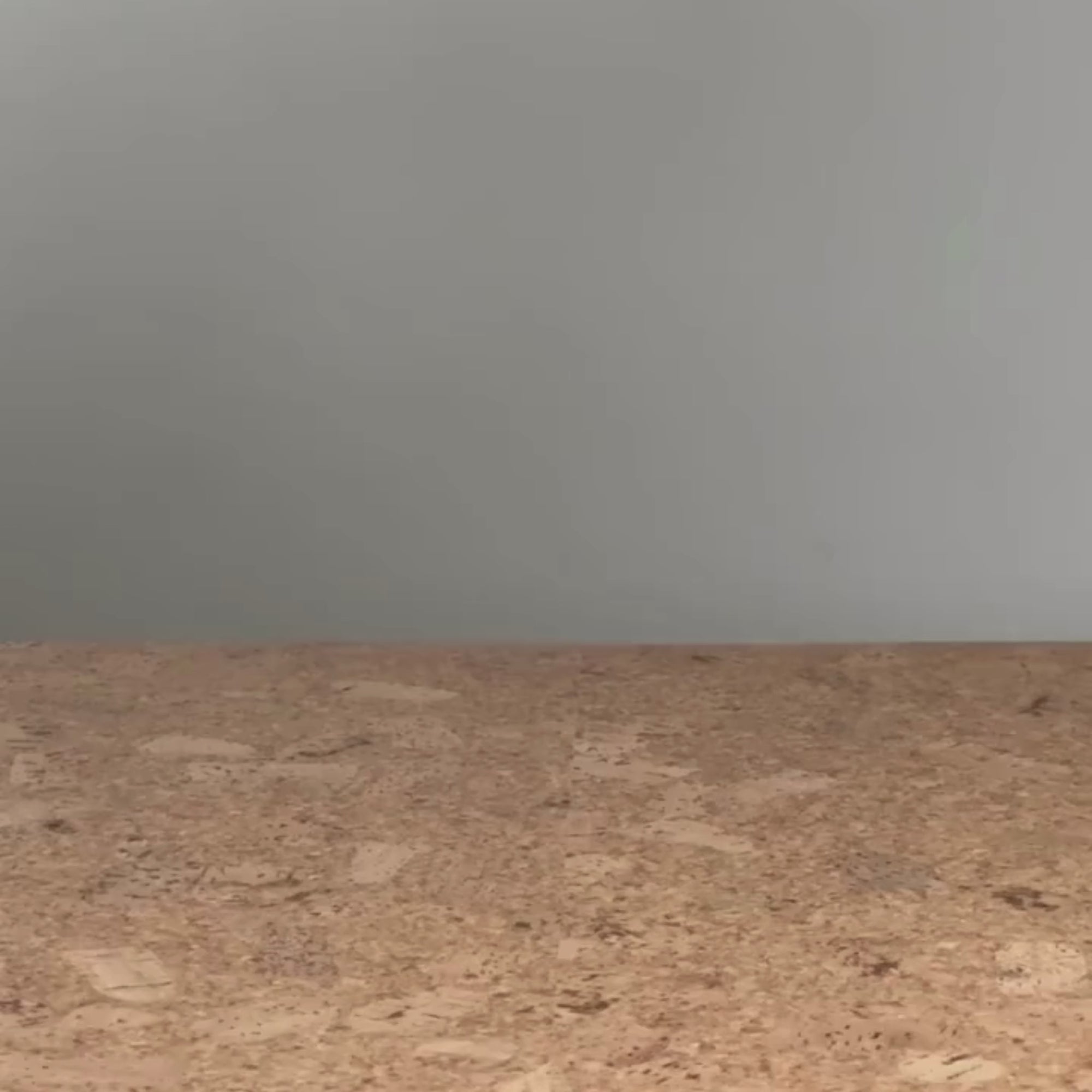 The Rover